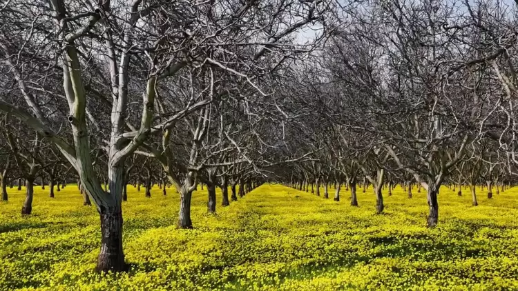 Εφαρμογή του Μέτρου 23 στην Πιερία - Η ανακοίνωση του Υπουργείου Αγροτικής Ανάπτυξης Εφαρμογή του Μέτρου 23 στην Πιερία – Η ανακοίνωση του Υπουργείου Αγροτικής Ανάπτυξης