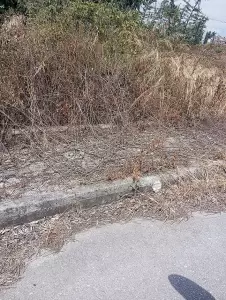 Είναι αυτό Ολύμπιος Τουρισμός; Είναι αυτό ολύμπιος τουρισμός;