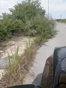 Είναι αυτό Ολύμπιος Τουρισμός; Είναι αυτό ολύμπιος τουρισμός;