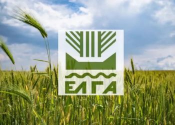 ΕΛΓΑ: Καταβολή 6,2 εκατομμύρια ευρώ σε παραγωγούς – Ενισχύσεις για “daniel” και “elias