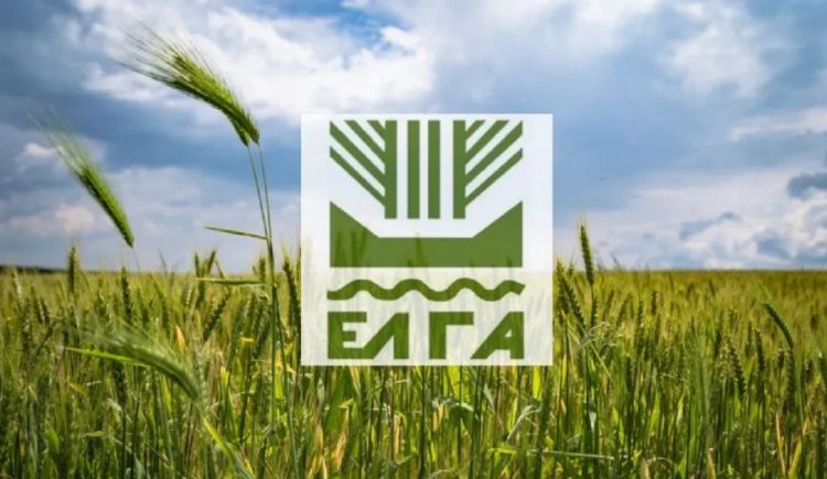 ΕΛΓΑ: Καταβολή 6,2 εκατομμύρια ευρώ σε παραγωγούς – Ενισχύσεις για “daniel” και “elias
