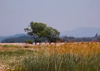 ΕΛΓΑ: Πληρωμή 13,5 εκατ. ευρώ για πυρκαγιές 2021