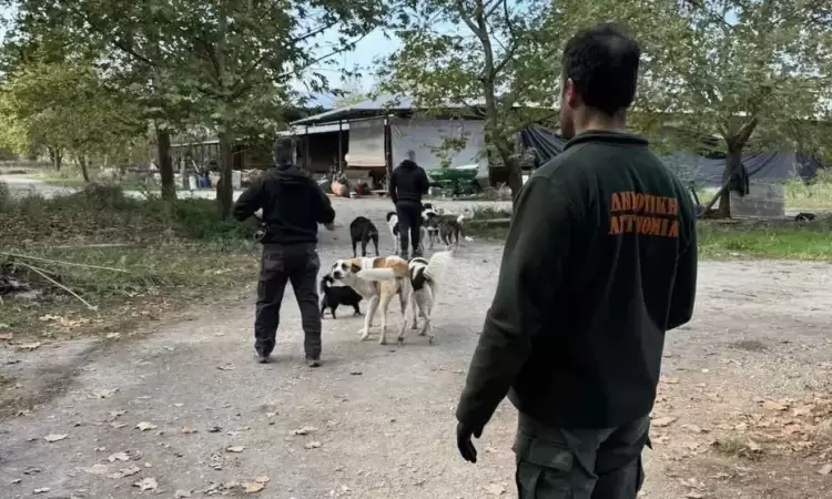 Εντατικοί Έλεγχοι στις Κτηνοτροφικές Μονάδες για την Προστασία των Ζώων Εντατικοί Έλεγχοι στις Κτηνοτροφικές Μονάδες για την Προστασία των Ζώων