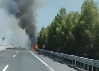 Φωτιά στην ΠΑΘΕ στο ύψος του Μακρυχωρίου Λάρισας προκάλεσε προβλήματα στη σιδηροδρομική γραμμή Αθηνών – Θεσσαλονίκης