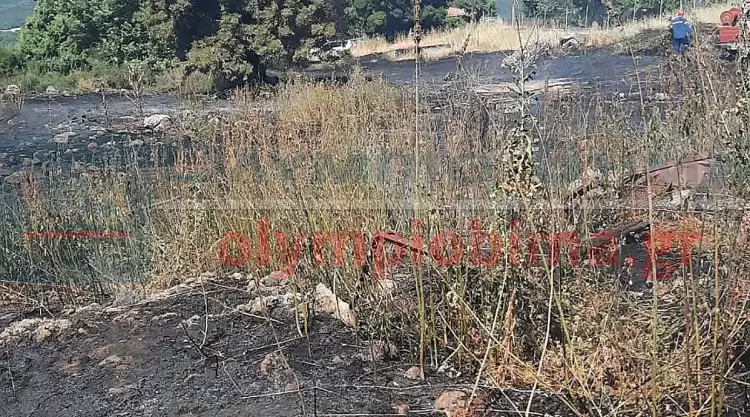 Φωτιά στην Πέτρα Πιερίας: Επιχειρούν 30 πυροσβέστες και 11 οχήματα (εικόνες)