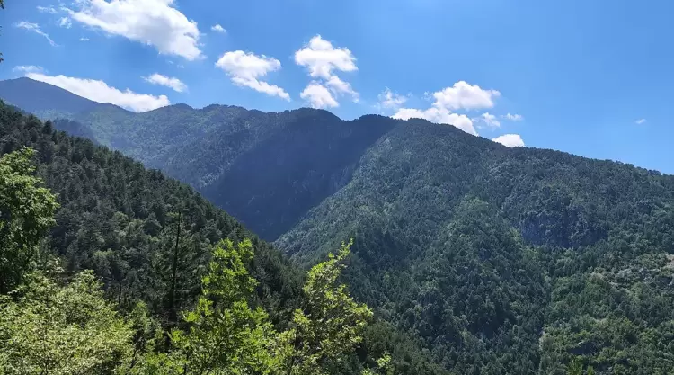 Φυσιολατρικός Σύλλογος Λιτοχώρου «Όλυμπος» - Πρόγραμμα Δραστηριοτήτων Ιουλίου 2025 Φυσιολατρικός Σύλλογος Λιτοχώρου «Όλυμπος» – Πρόγραμμα Δραστηριοτήτων Ιουλίου 2025