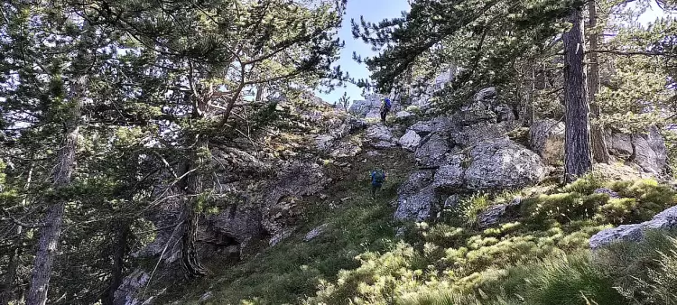 Φυσιολατρικός Σύλλογος Λιτοχώρου «Όλυμπος»: Πρόγραμμα Δραστηριοτήτων Αυγούστου 2025 Φυσιολατρικός Σύλλογος Λιτοχώρου «Όλυμπος»: Πρόγραμμα Δραστηριοτήτων Αυγούστου 2025