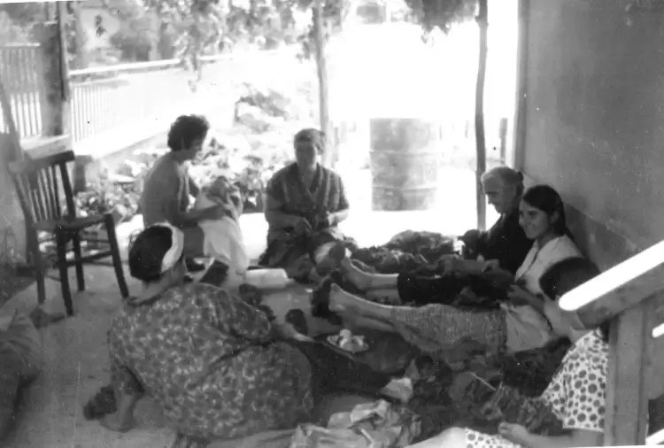 Ο καπνός στην Κατερίνη, ο ρόλος των Ποντίων προσφύγων και πώς έγινε το 1929 η Κατερίνη Δήμος