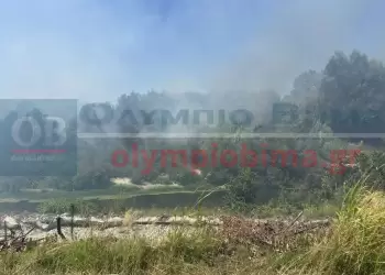 Κατερίνη: Φωτιά μέσα στο ποτάμι στο Μαυρονέρι