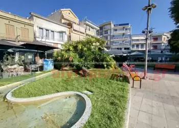 Κατερίνη: Πτώση δένδρου στην Πλατεία Ελευθερίας