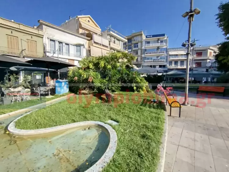 Κατερίνη: Πτώση δένδρου στην Πλατεία Ελευθερίας