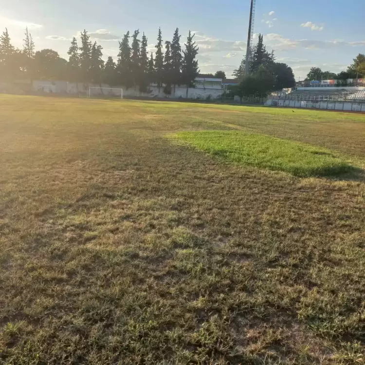 “Κρανίου τόπος” το Α’ ΔΑΚ Κατερίνης – Ολοσχερής καταστροφή του χορτοπάπητα των εγκαταστάσεων