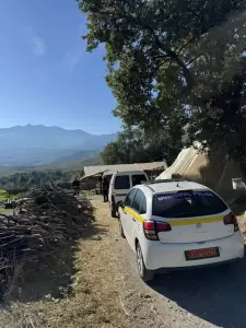 Ο μακρύς δρόμος για μια Κατερίνη χωρίς αδέσποτα ζώα