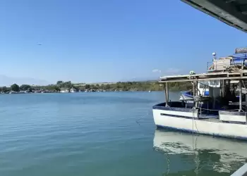 Μυδοκαλλιεργητές Πιερίας: Συνεχίζεται η κρίση – Σχεδόν μηδενική η φετινή παραγωγή μυδιών