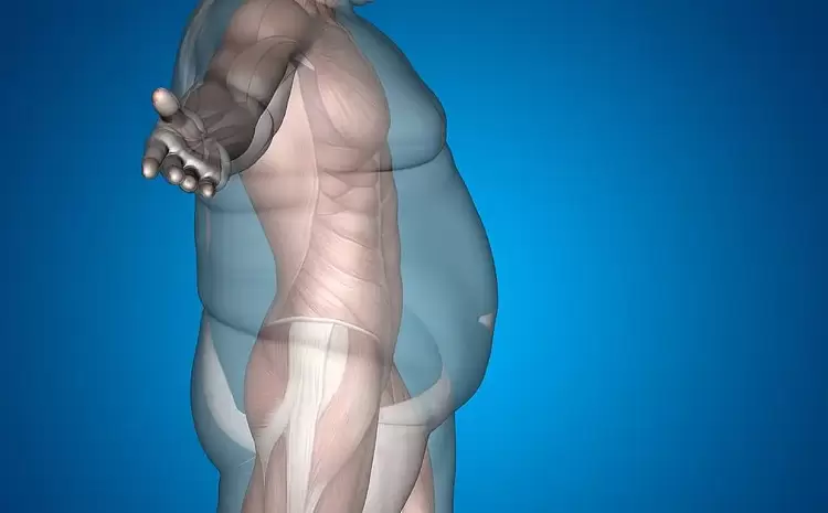 Νέα μελέτη: Η παχυσαρκία δεν προκαλείται από καθιστική ζωή – Ο ρόλος της διατροφής Νέα μελέτη: Η παχυσαρκία δεν προκαλείται από καθιστική ζωή – Ο ρόλος της διατροφής