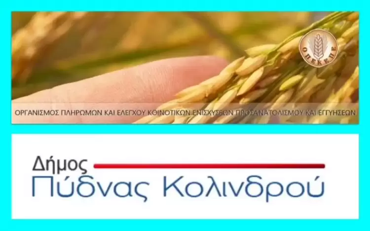 Ο.Π.Ε.Κ.Ε.Π.Ε. και δήμος Πύδνας Κολινδρού (Μακριά από κομματικές ή παραταξιακές αντιπαραθέσεις)