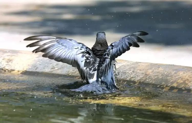 Πώς θα είναι ο καιρός σε Κατερίνη και Πιερία σήμερα Τρίτη, 08 Ιουλίου 2025: Γενικά αίθριος με πολλή ζέστη