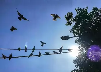 Πώς θα είναι ο καιρός σε Κατερίνη και Πιερία σήμερα Σάββατο, 19 Ιουλίου 2025: Γενικά αίθριος καιρός με λίγες νεφώσεις Πώς θα είναι ο καιρός σε Κατερίνη και Πιερία σήμερα Σάββατο, 19 Ιουλίου 2025: Γενικά αίθριος καιρός με λίγες νεφώσεις