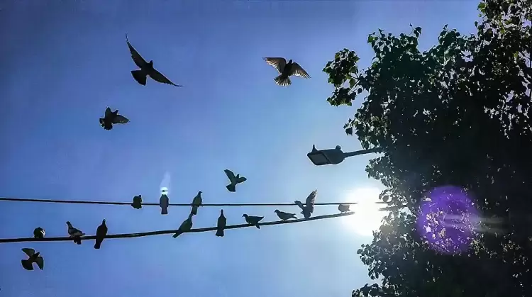 Πώς θα είναι ο καιρός σε Κατερίνη και Πιερία σήμερα Σάββατο, 19 Ιουλίου 2025: Γενικά αίθριος καιρός με λίγες νεφώσεις