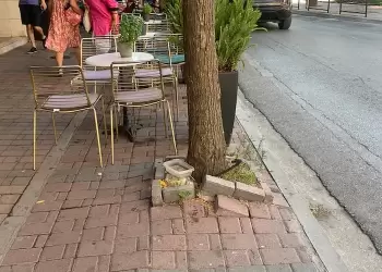 Η Πράσινη Κατερίνη και οι παγίδες των πεζοδρομίων