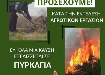 Πυροσβεστική Υπηρεσία Πιερίας: