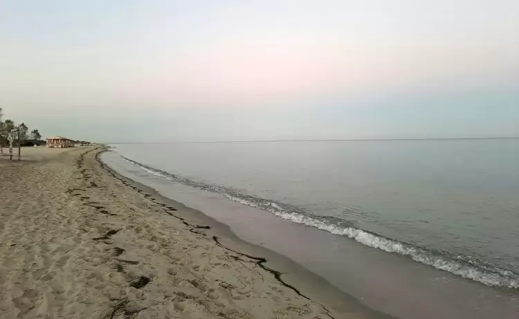 Τραγωδία στην Κατερίνη: 80χρονος λουόμενος νεκρός στην Ολυμπιακή Ακτή Τραγωδία στην Κατερίνη: 80χρονος λουόμενος νεκρός στην Ολυμπιακή Ακτή