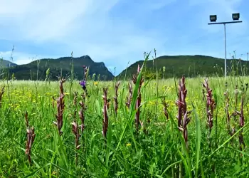 54ο Φεστιβάλ Ολύμπου – Εσπερίδα: Πολιτιστικές Βοτανικές Διαδρομές του Ολύμπου, Λείβηθρα Κιβωτός Βιοποικιλότητας
