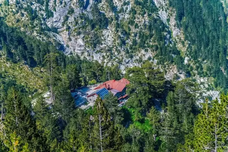 O τραυματίας του Ολύμπου διαμαρτύρεται O τραυματίας του Ολύμπου διαμαρτύρεται