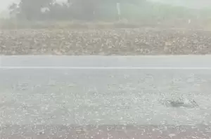 Oι ζημιές σε καλλιέργειες από την πρόσφατη κακοκαιρία σε Κεντρική και Δυτική Μακεδονία