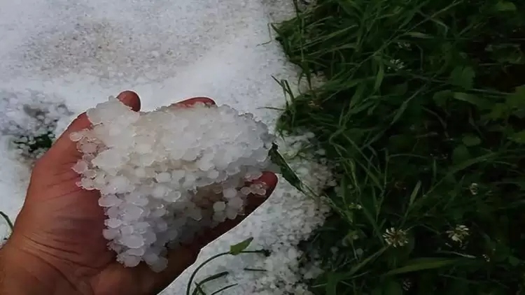 Oι ζημιές σε καλλιέργειες από την πρόσφατη κακοκαιρία Σε Κεντρική και Δυτική Μακεδονία