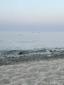 Η ακτή του Πλαταμώνα και μια επιστολή μια την προσβασιμότητα στη θάλασσα