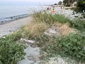 Η ακτή του Πλαταμώνα και μια επιστολή μια την προσβασιμότητα στη θάλασσα