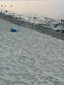 Η ακτή του Πλαταμώνα και μια επιστολή μια την προσβασιμότητα στη θάλασσα