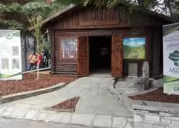 Άμεσα 117 προσλήψεις σε έξι Δασαρχεία - Πώς να κάνετε αίτηση Άμεσα 117 προσλήψεις σε έξι Δασαρχεία – Πώς να κάνετε αίτηση