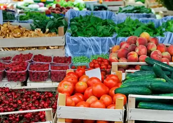 Ανανέωση εγγραφών στο Μητρώο Εμπόρων Νωπών Οπωροκηπευτικών (Μ.Ε.Ν.Ο.)