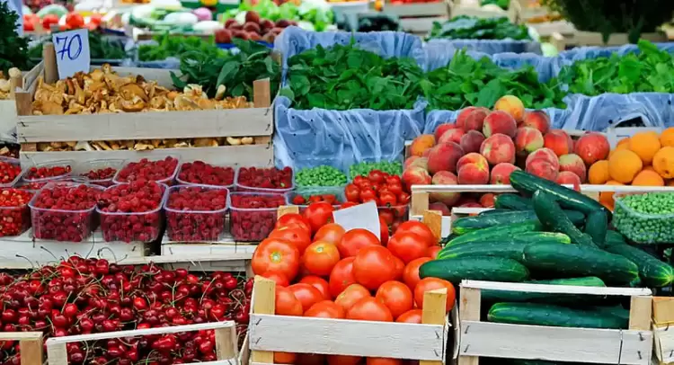 Ανανέωση εγγραφών στο Μητρώο Εμπόρων Νωπών Οπωροκηπευτικών (Μ.Ε.Ν.Ο.)
