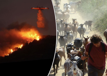 Αυτόματο προσχέδιο