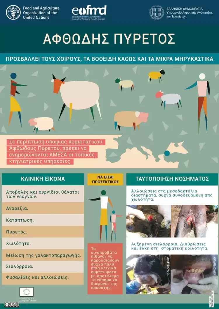 Ενημέρωση της Διεύθυνσης Κτηνιατρικής Περιφέρειας Κεντρικής Μακεδονίας για τον αφθώδη πυρετό Ενημέρωση της Διεύθυνσης Κτηνιατρικής Περιφέρειας Κεντρικής Μακεδονίας για τον αφθώδη πυρετό