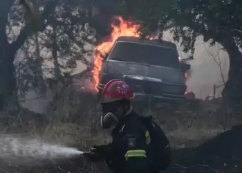 Φωτιές στην Ελλάδα: Σχεδόν 100.000 στρέμματα έχουν επηρεαστεί από τα πύρινα μέτωπα