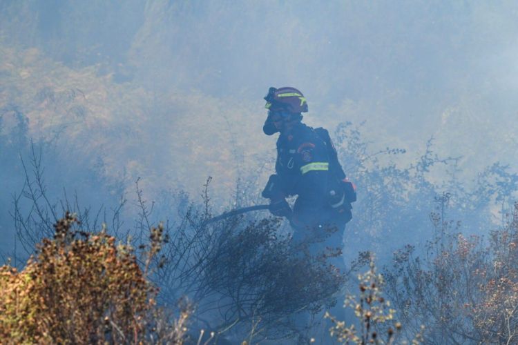 Γρεβενά: Ισχυρές επίγειες και εναέριες δυνάμεις για τη φωτιά στις παρυφές της Βάλια Κάλντα Γρεβενά: Ισχυρές επίγειες και εναέριες δυνάμεις για τη φωτιά στις παρυφές της Βάλια Κάλντα