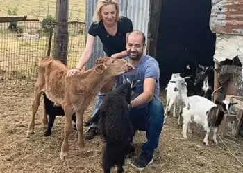 ΟΠΕΚΕΠΕ: Καθαροί και νόμιμοι δηλώνουν οι Σεμερτζίου και Μαγειρίας