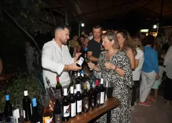 Περιηγητικός περίπατος των αμπελώνων της Πιερίας και γευσιγνωσία στο Κτήμα Ξηρομερίτη