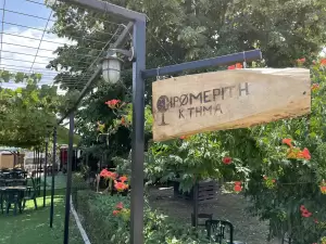 Περίπατοι στους αμπελώνες της Πιερίας Περιήγηση και γευσιγνωσία στο Κτήμα Ξηρομερίτη