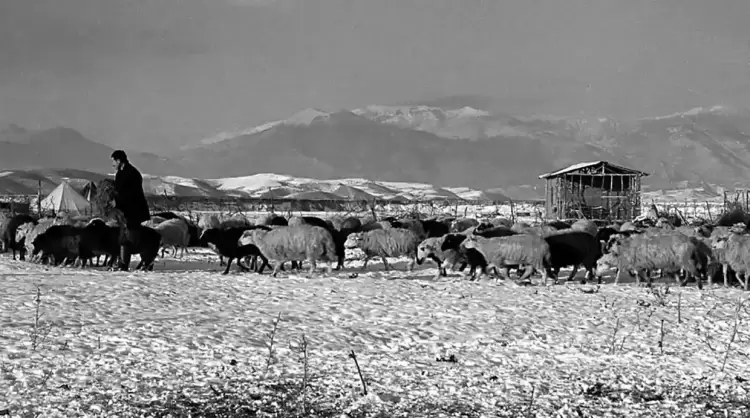 Πώς από το αγιωνύμιο Αγία Αικατερίνη δημιουργήθηκε η σημερινή Κατερίνη