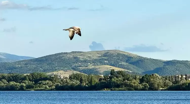 Πώς θα είναι ο καιρός σε Κατερίνη και Πιερία σήμερα Κυριακή, 03 Αυγούστου 2025: Γενικά αίθριος με πρόσκαιρες νεφώσεις