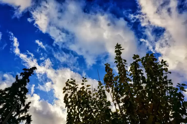 Πώς θα είναι ο καιρός σε Κατερίνη και Πιερία σήμερα Πέμπτη, 21 Αυγούστου 2025: