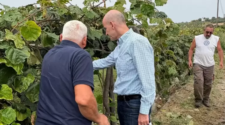 Στο Αιγίνιο και τον Καταχά ο Φώντας Μπαραλιάκος για τις ζημιές από το χαλάζι Στο Αιγίνιο και τον Καταχά ο Φ. Μπαραλιάκος για τις ζημιές από το χαλάζι