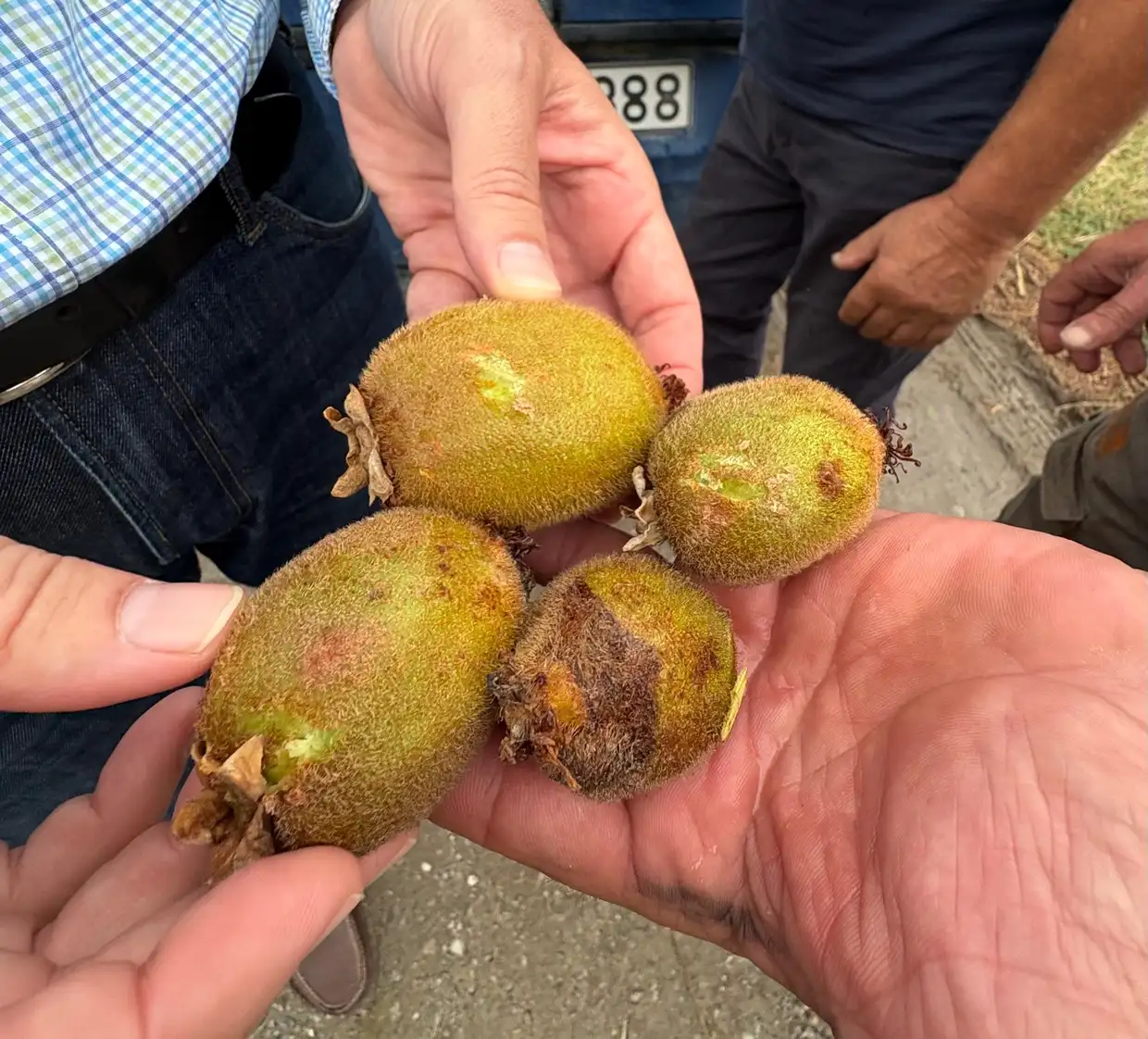 Στο Αιγίνιο και τον Καταχά ο Φώντας Μπαραλιάκος για τις ζημιές από το χαλάζι Στο Αιγίνιο και τον Καταχά ο Φ. Μπαραλιάκος για τις ζημιές από το χαλάζι