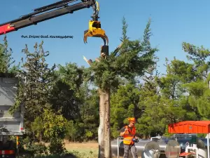 Σύγχρονη υλοτομία πόλεως και στην Ελλάδα