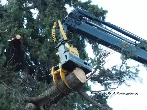 Σύγχρονη υλοτομία πόλεως και στην Ελλάδα